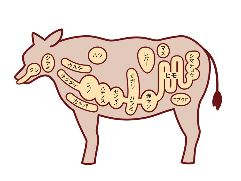 牛肉　内臓　部位