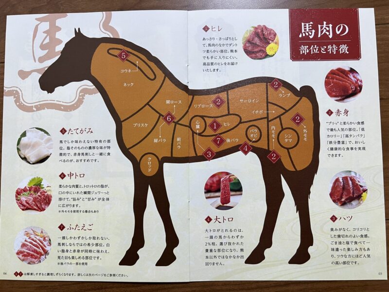 馬の部位説明